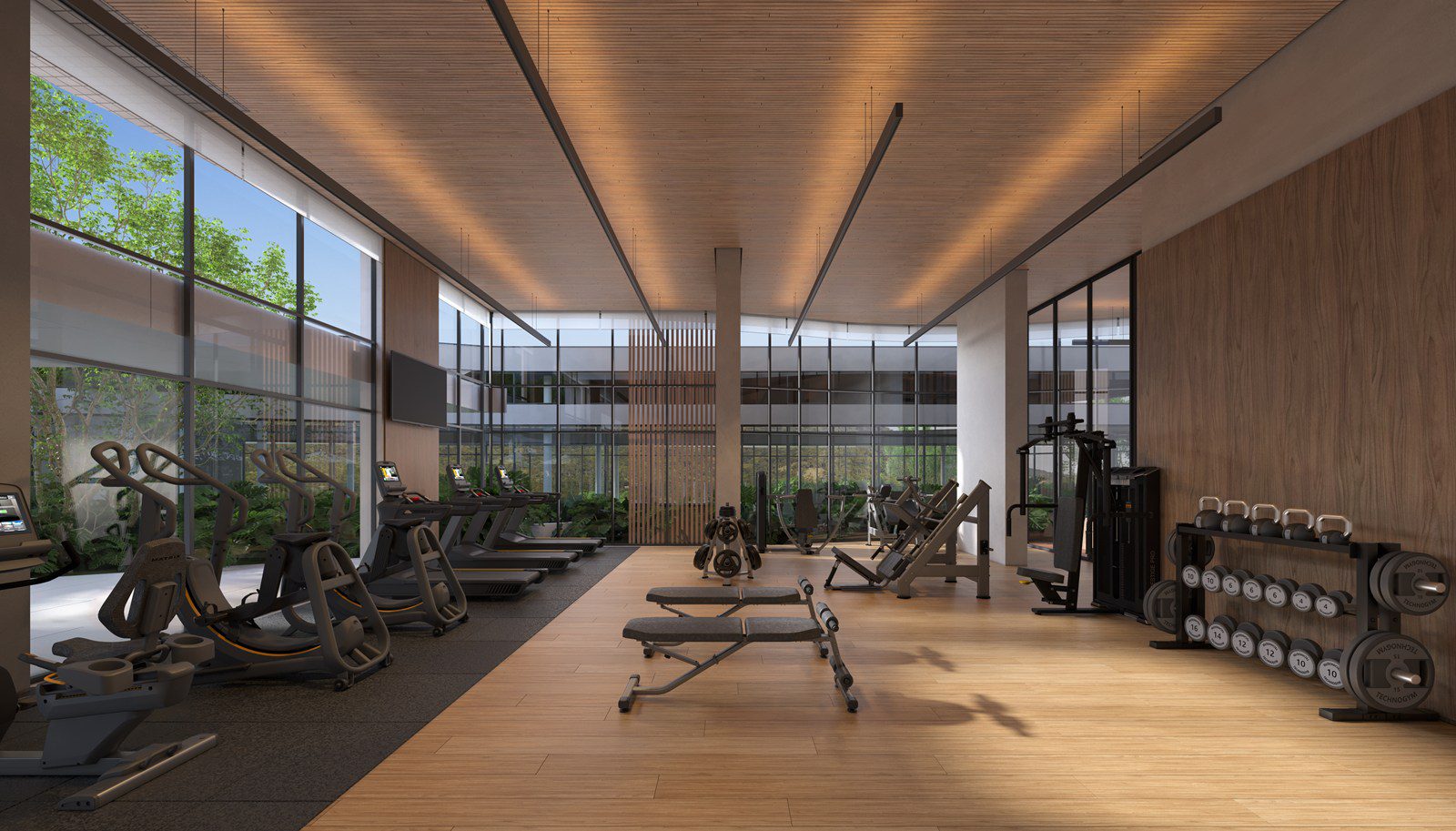 Academia / Fitness